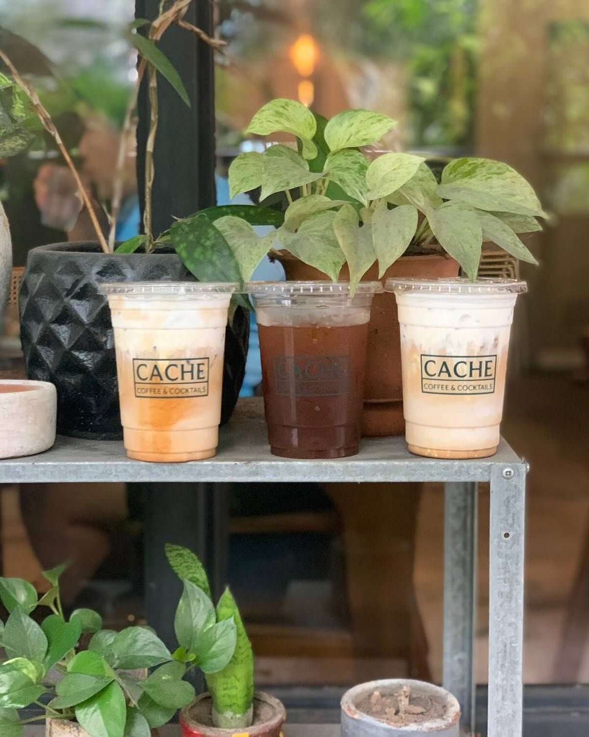 CACHE Coffee & Cocktails 2