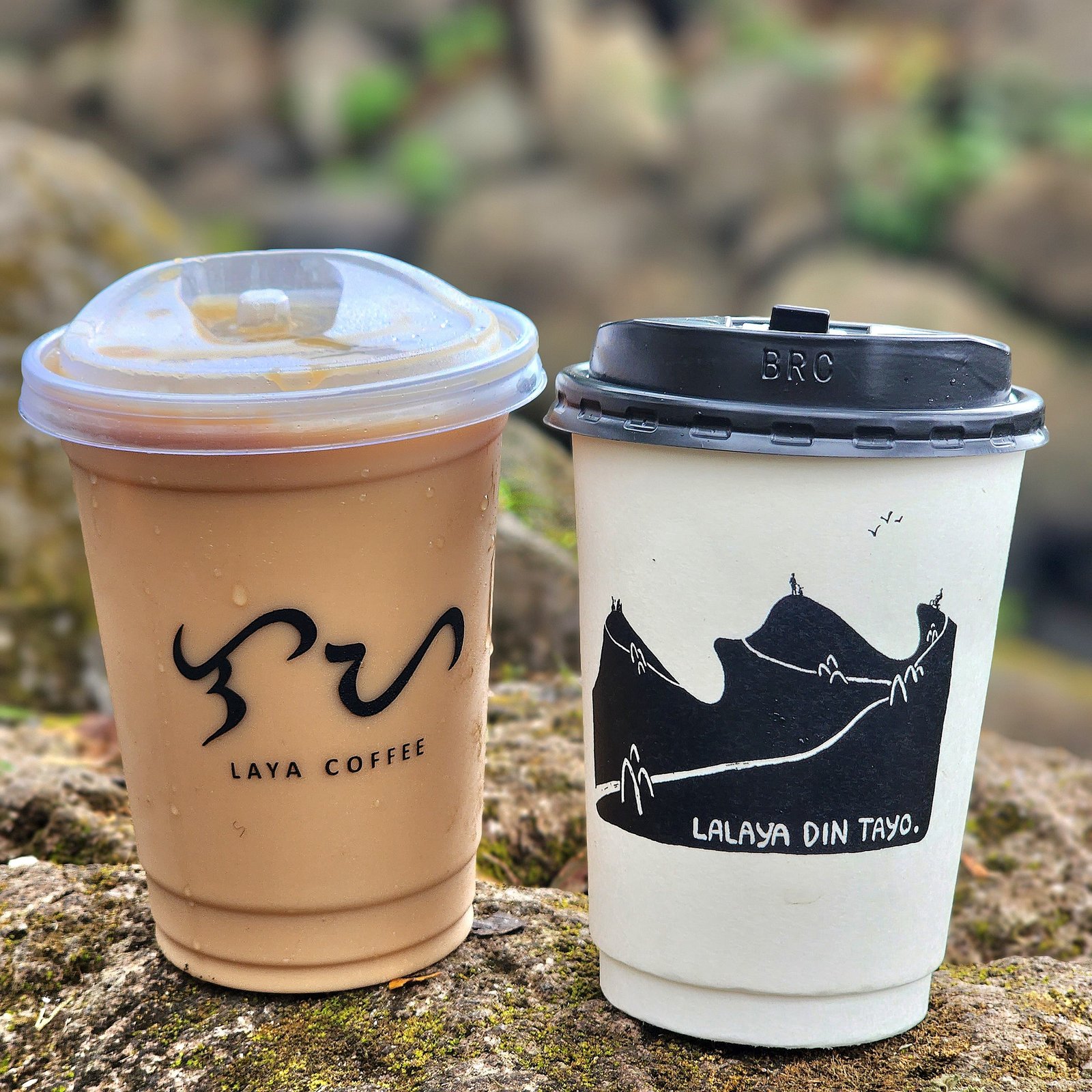 Laya Coffee Diliman 3