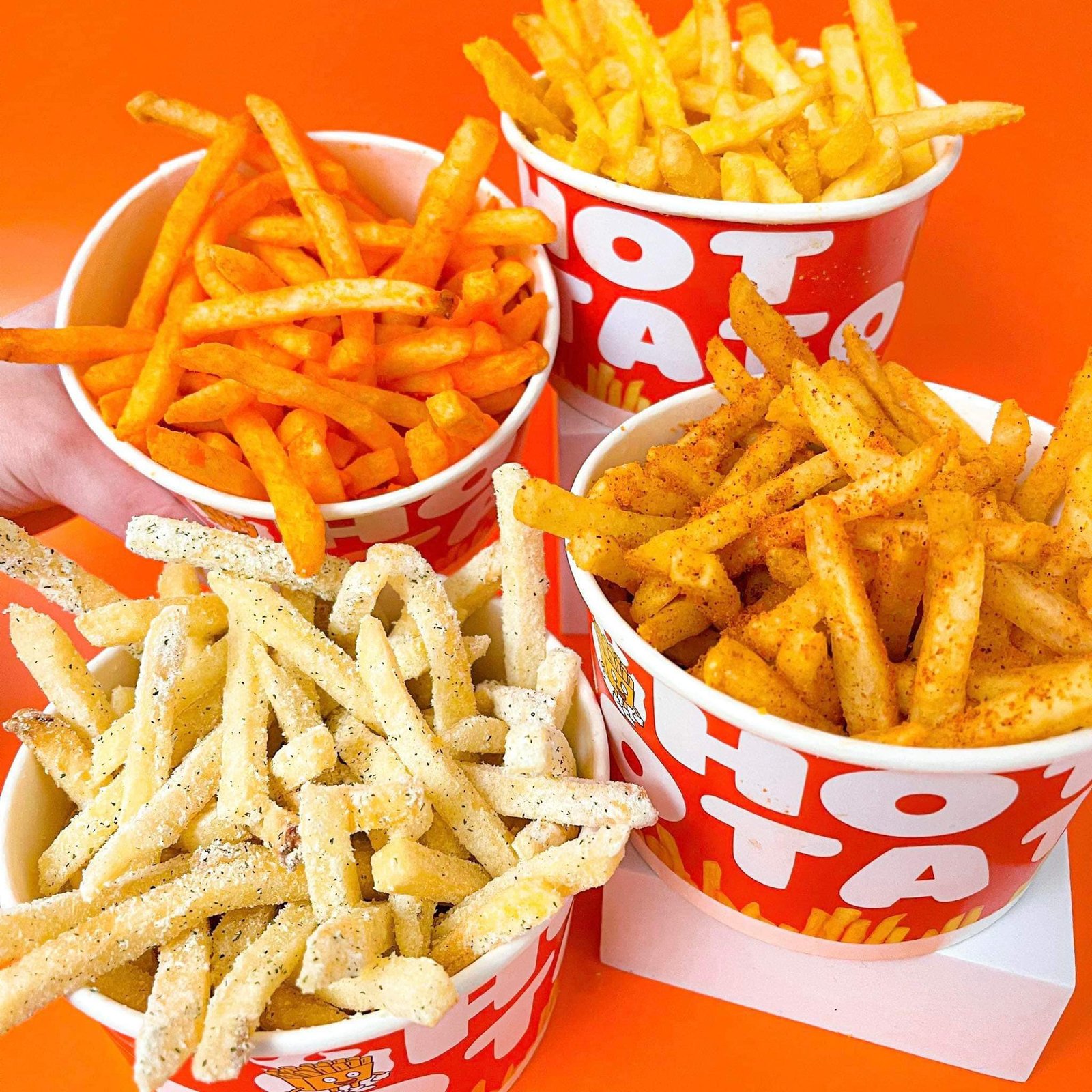 Neolivbrews-Provident Village 11