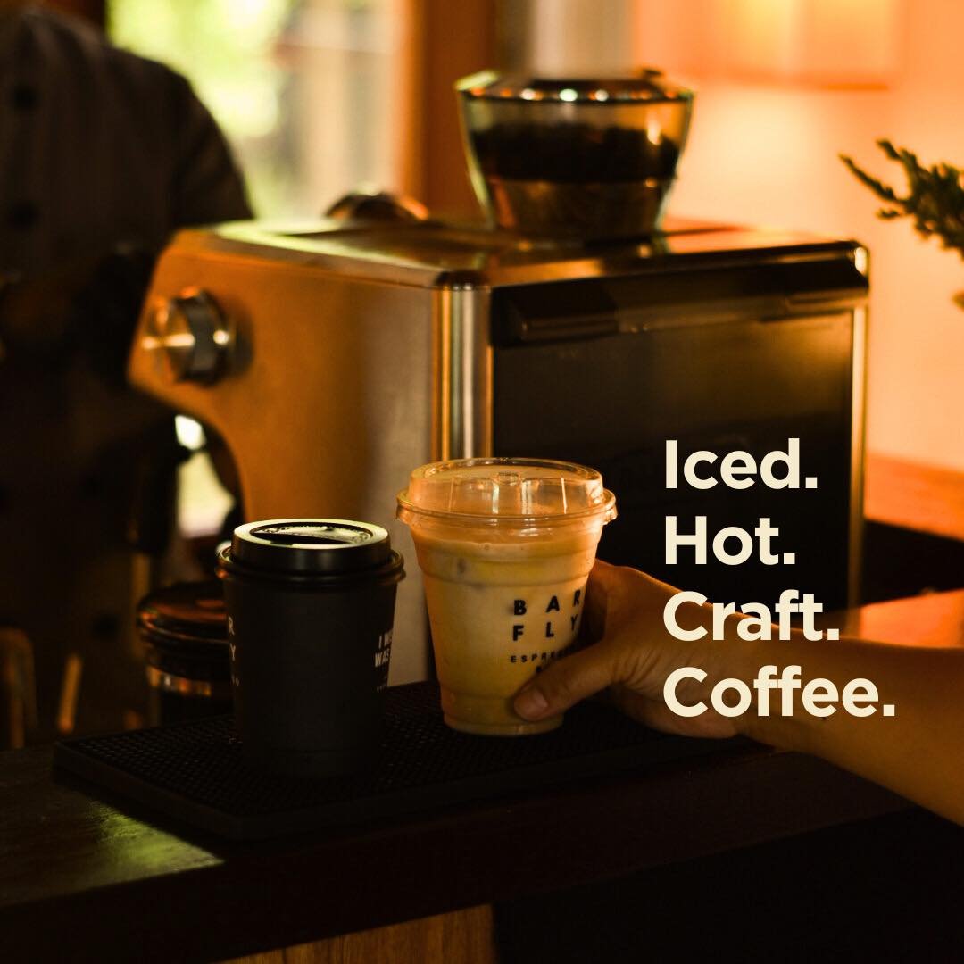 Bar Fly Espresso Bar 5