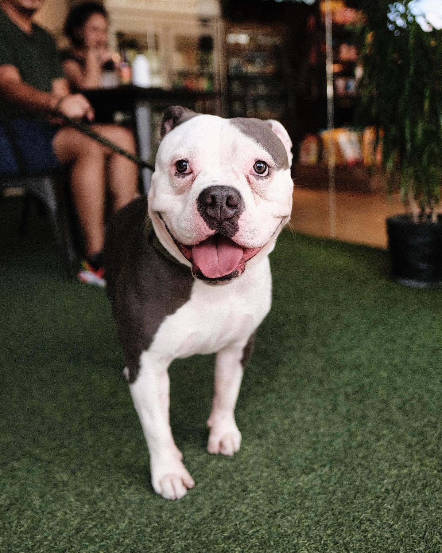 Grabengo Store + Coffee (Makati) 4