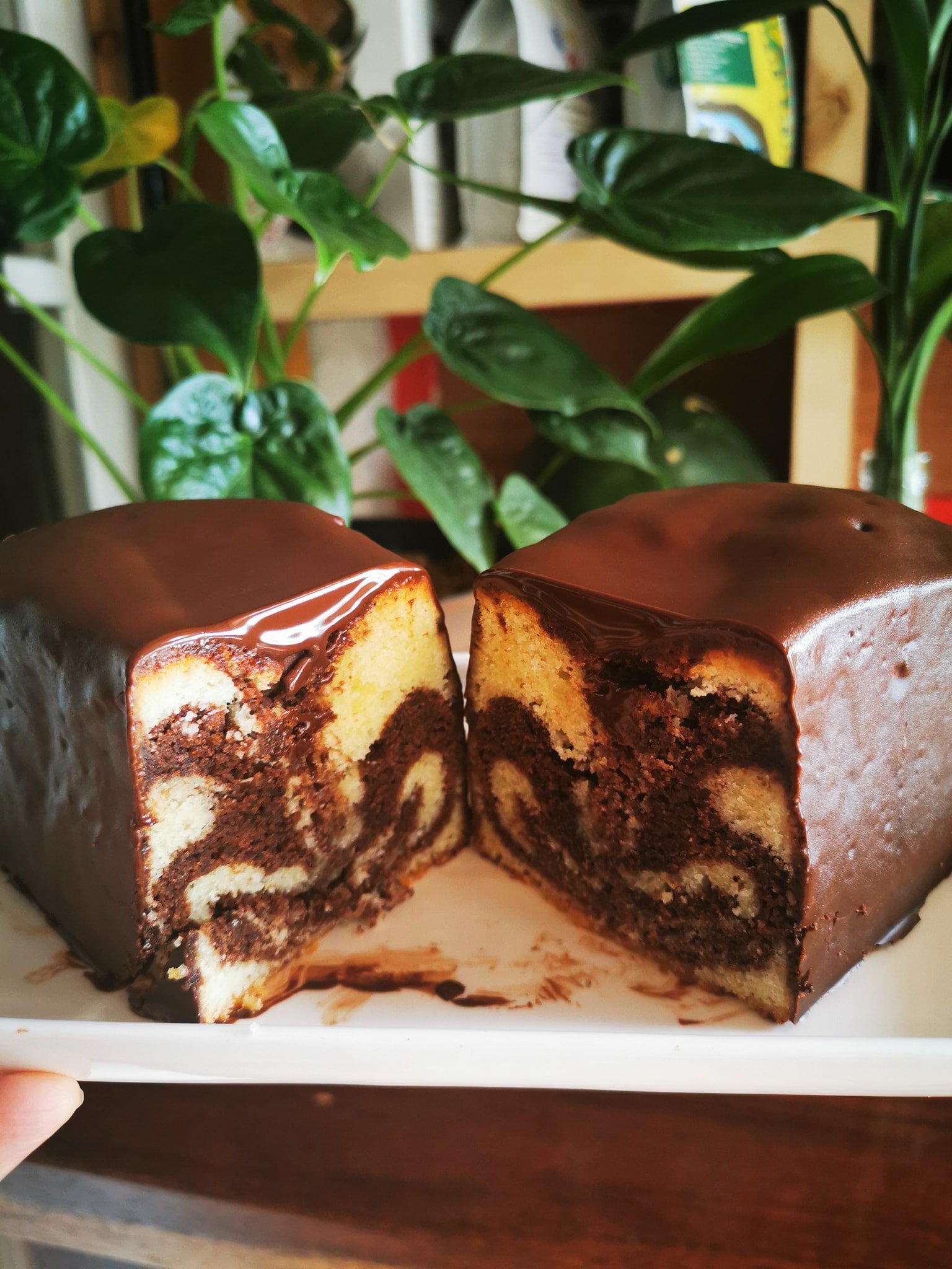 Guest Haven Coffee 8