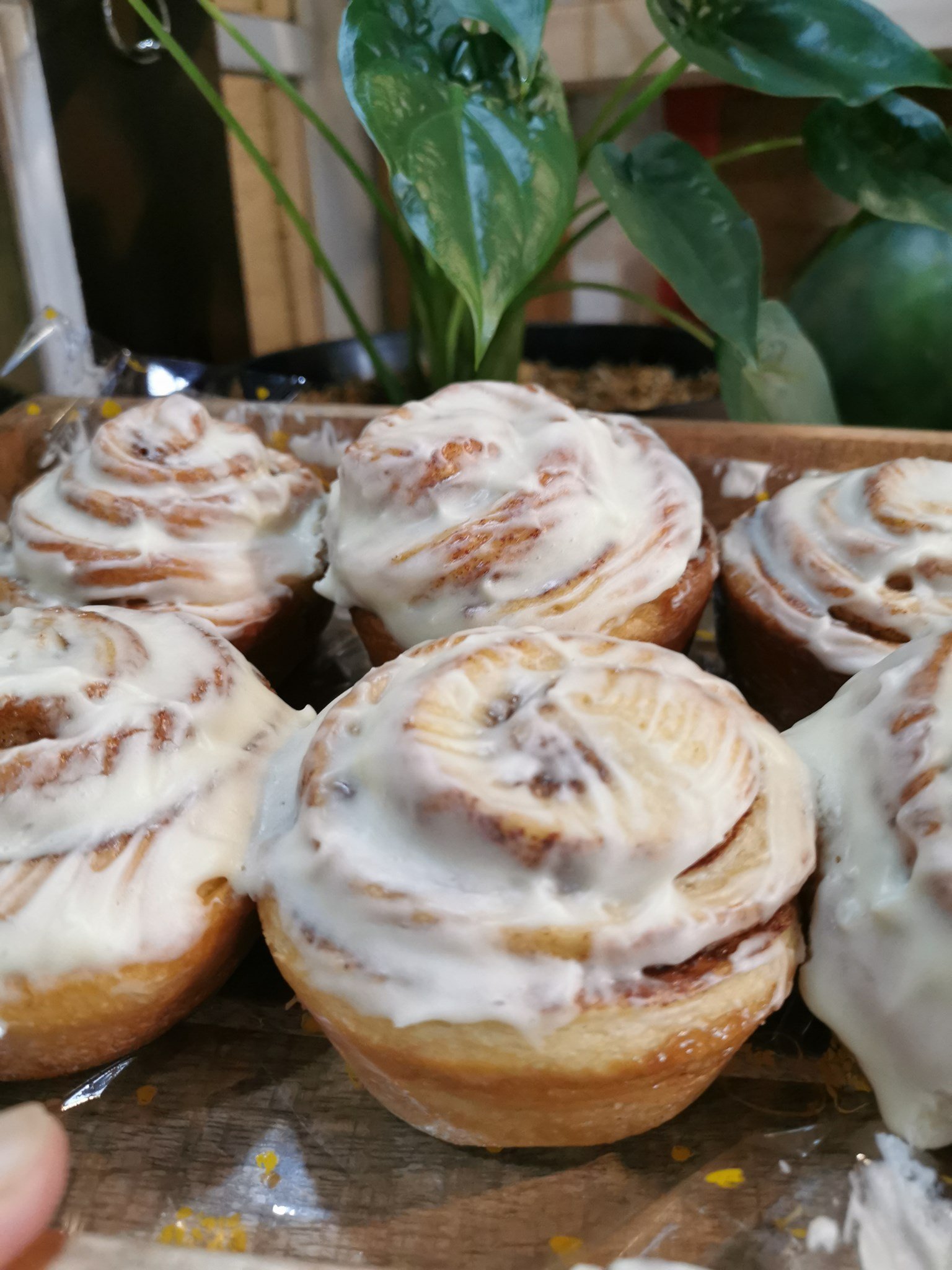 Guest Haven Coffee 9