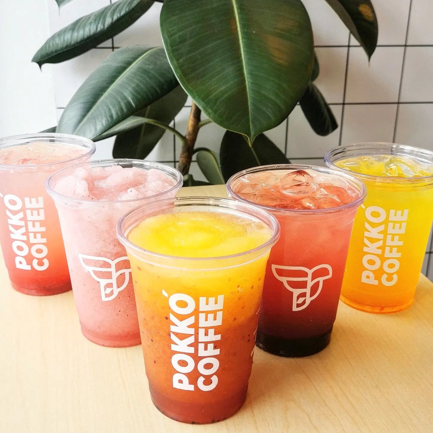 Pokko Coffee 6