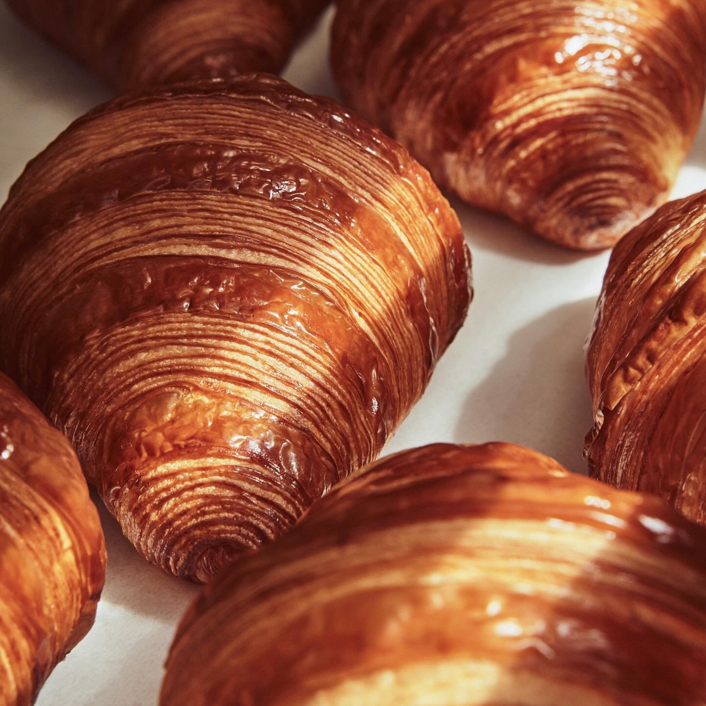 Satori Specialty Coffee 2