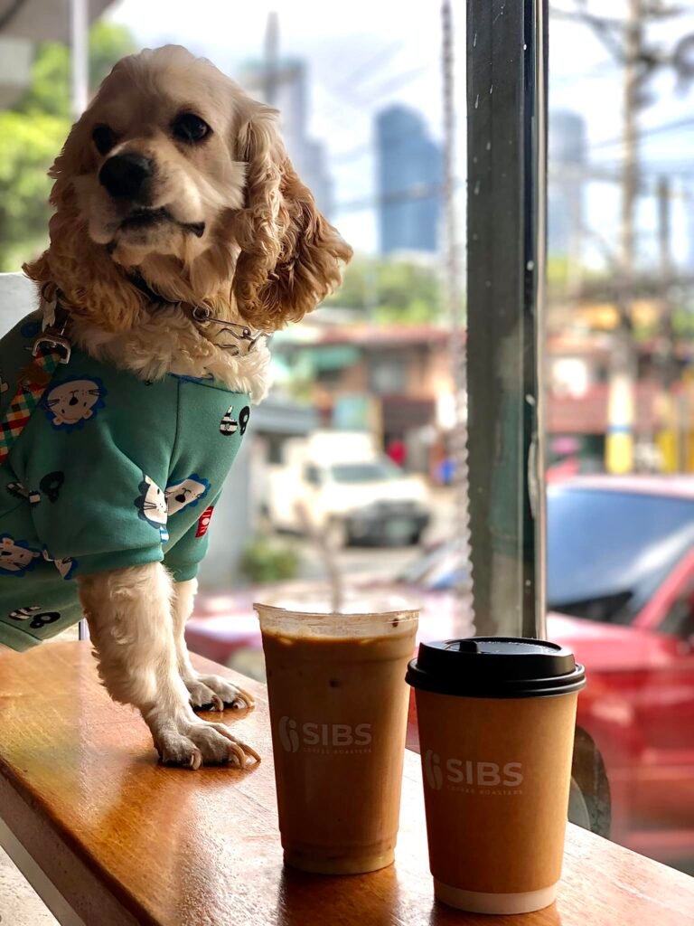 Sibs Coffee Roasters 2