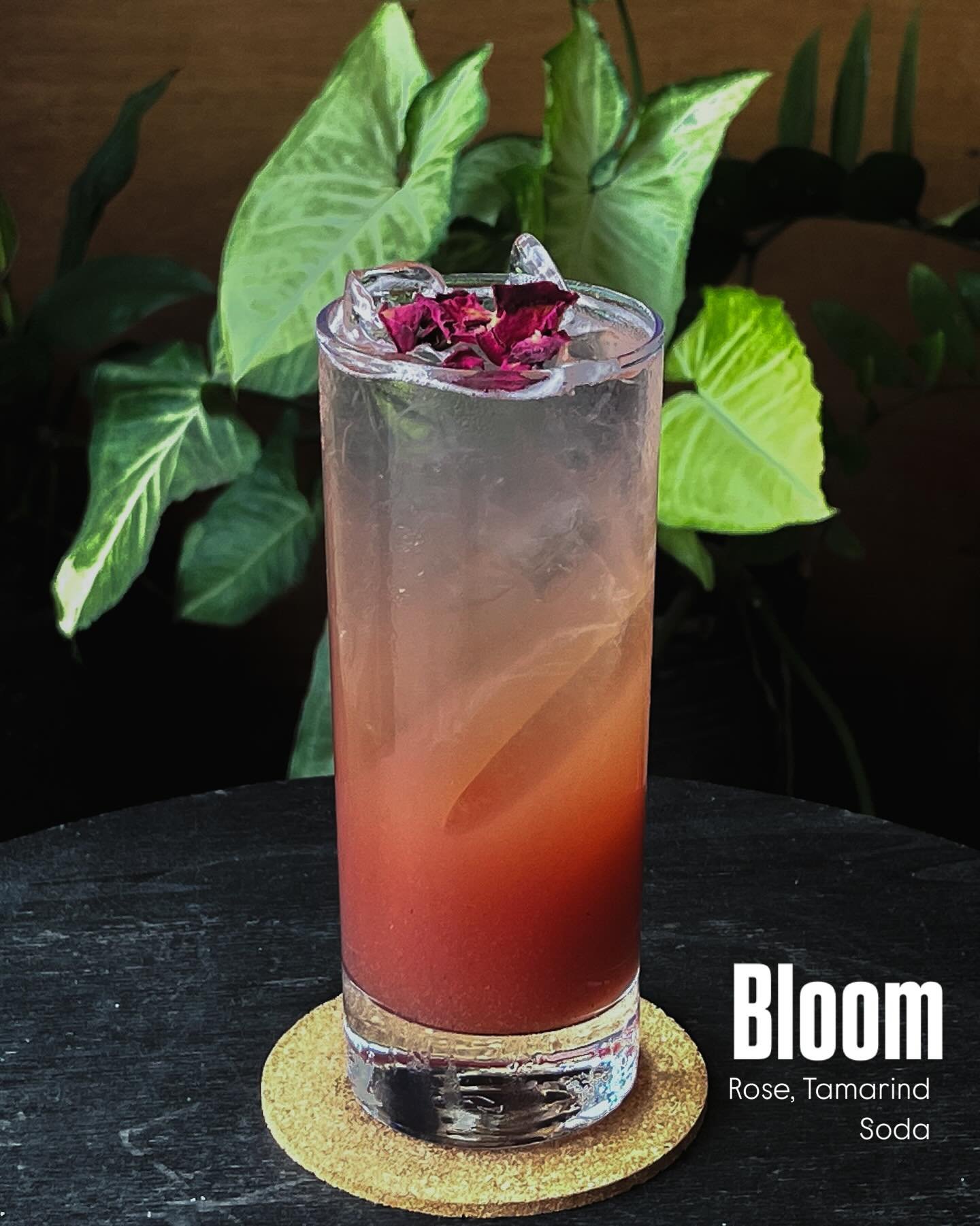 Solid Ground Coffee 3