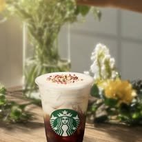 Starbucks 14