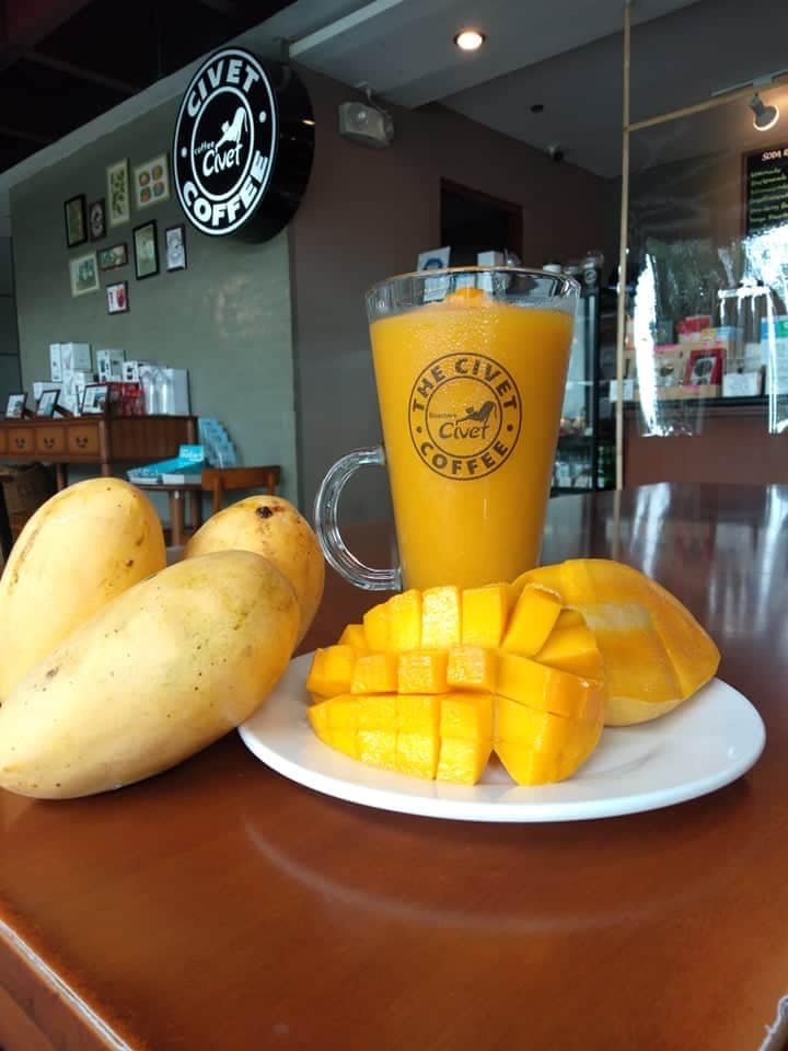 The Civet Coffee Sm Cebu City 7