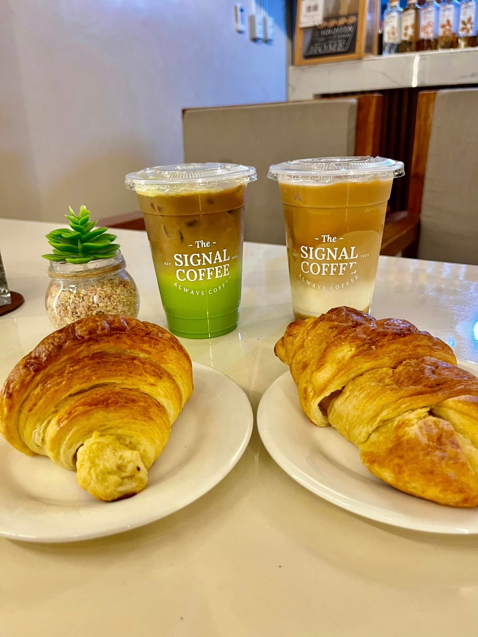 The Signal Coffee 12