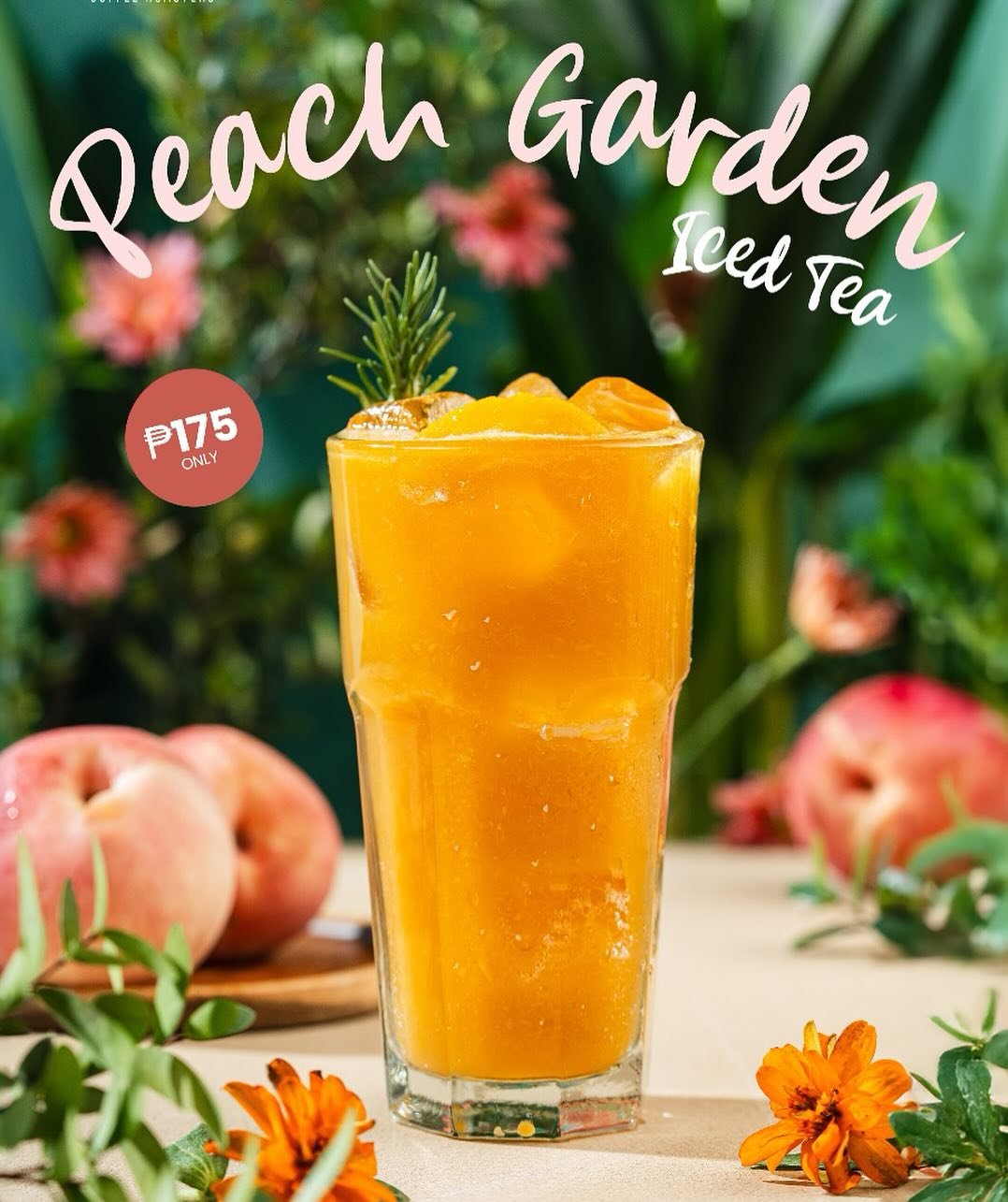 Toby’s Estate Philippines 6