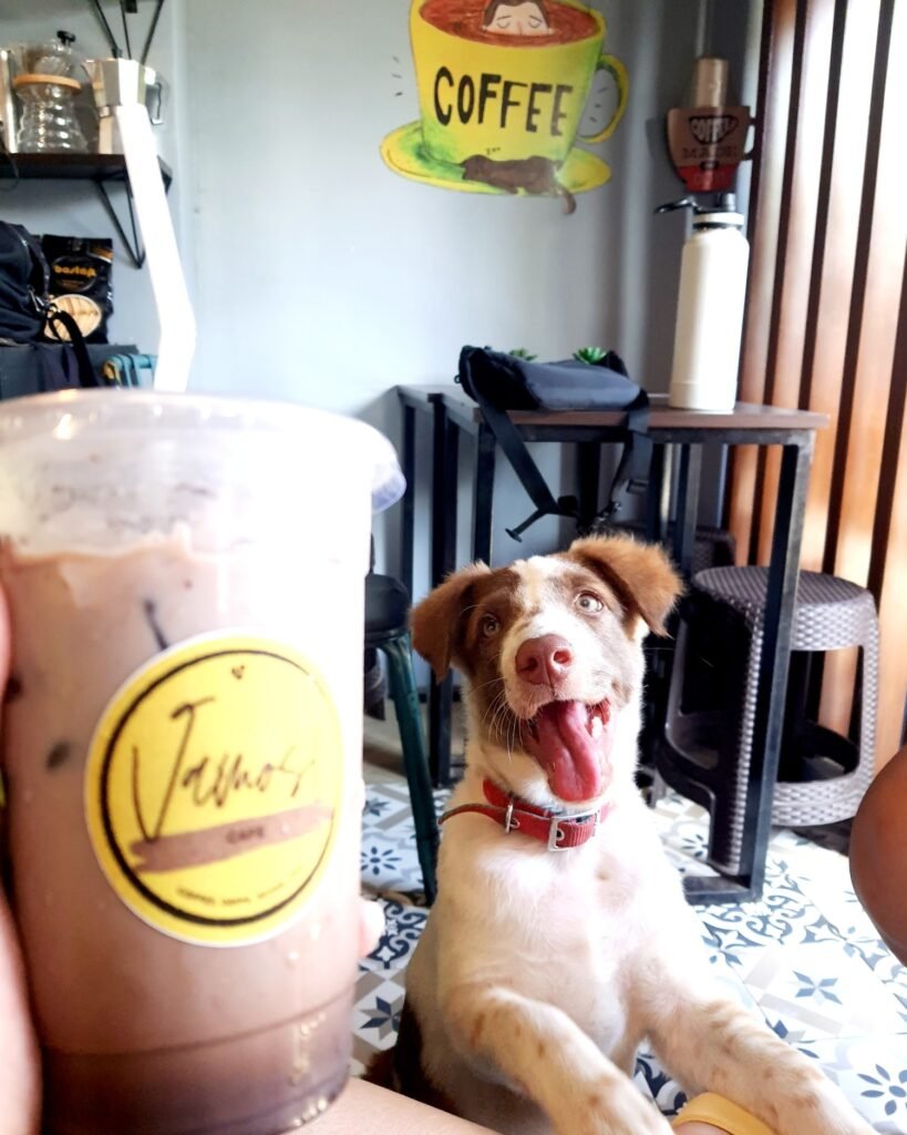 Vamos Cafe – Coffee and Milktea Cebu 1