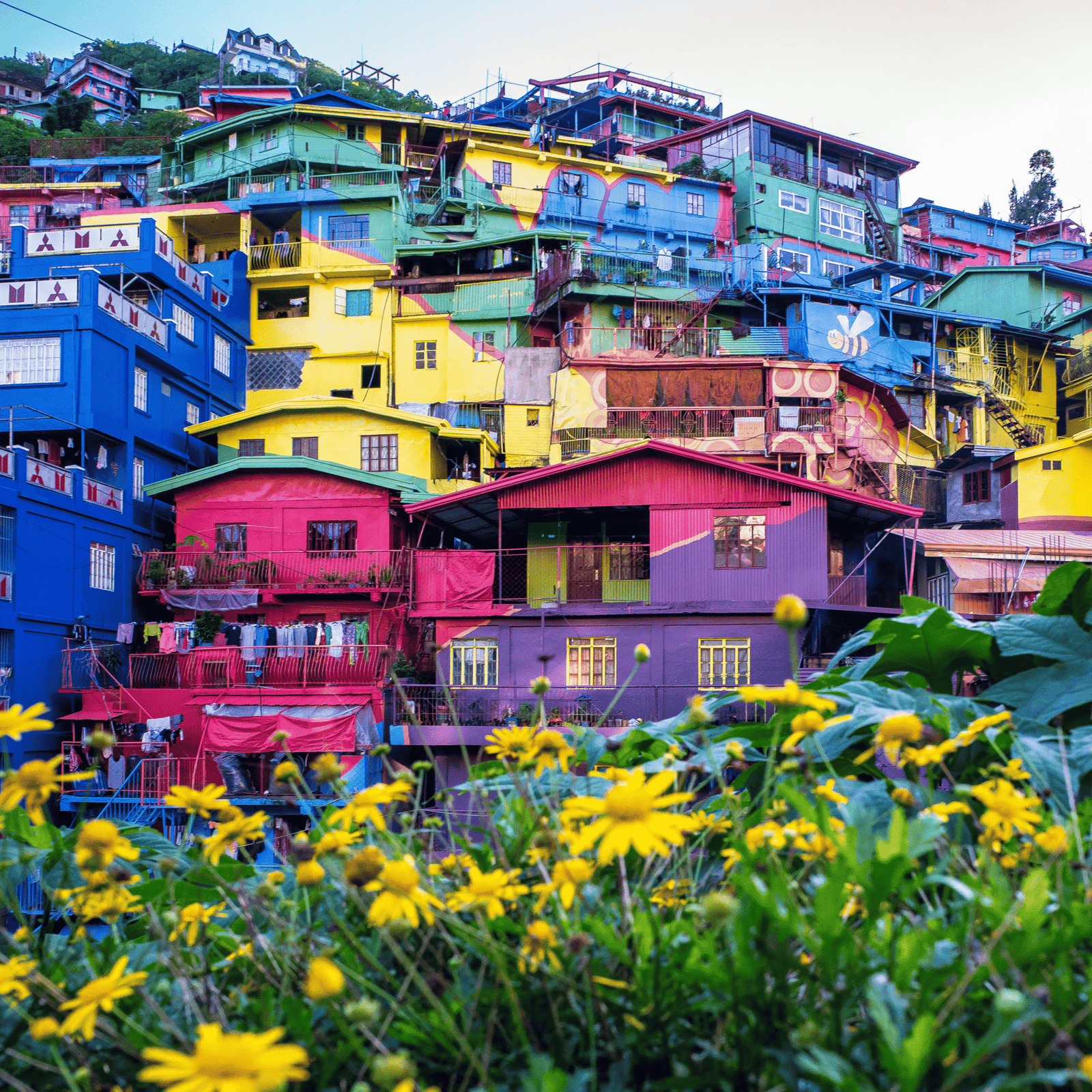 Baguio Coffee Near Me